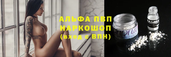 ПСИЛОЦИБИНОВЫЕ ГРИБЫ Киреевск