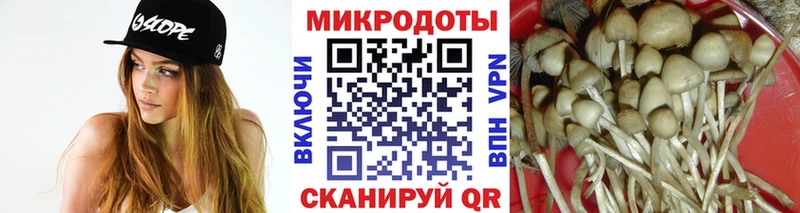 Купить закладки  Балахна  Псилоцибиновые грибы мухоморы 